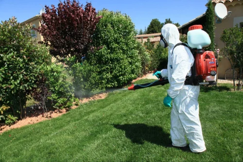 Xenia Mosquito Removal Technicians